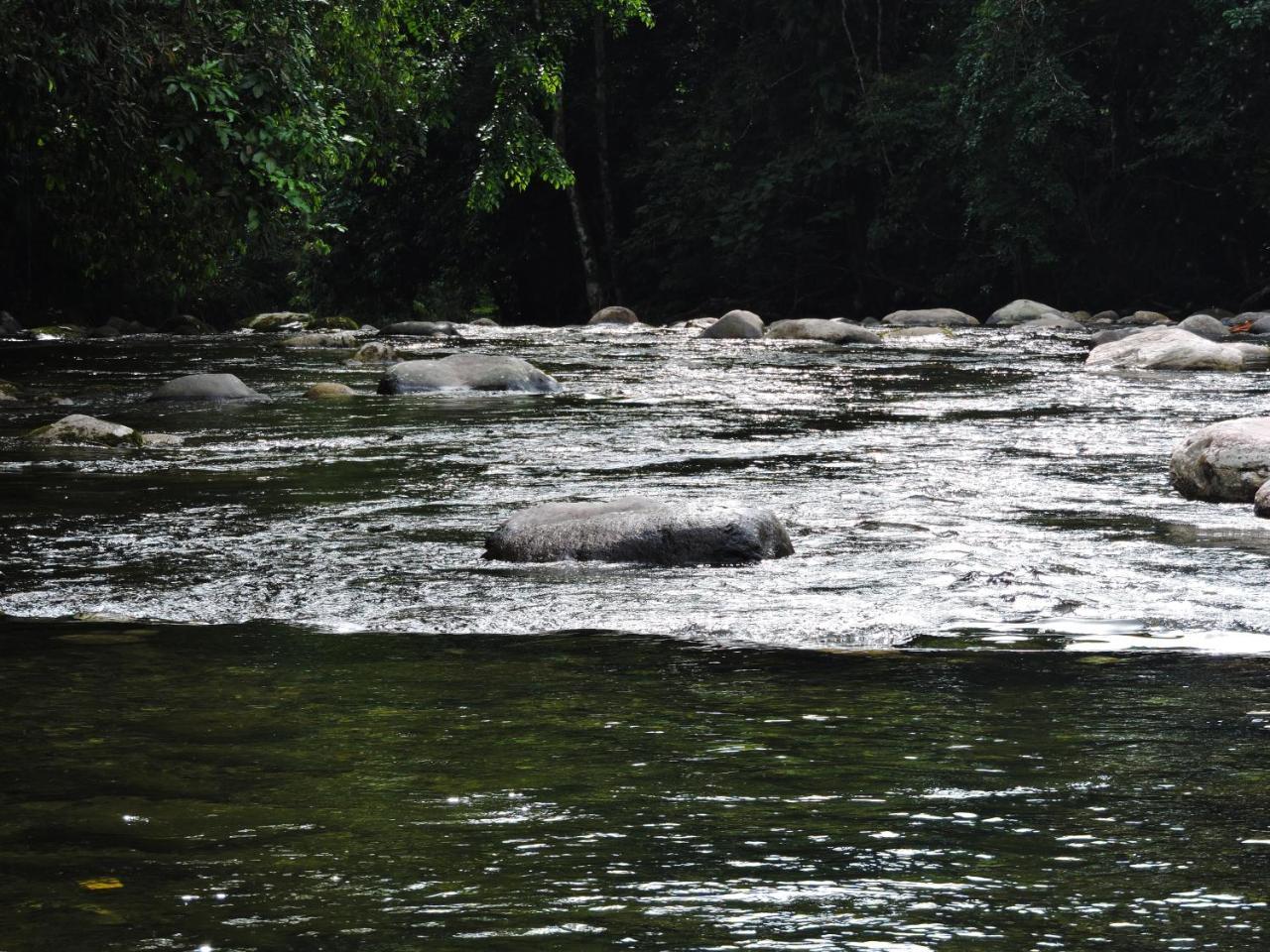 Pousada Da Cachoeira Taquari Araquari Eksteriør billede